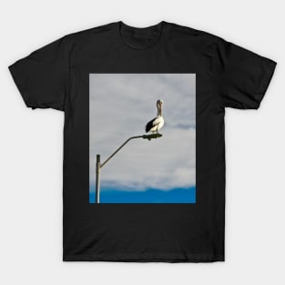 Pelican preening on a Streetlight! T-Shirt